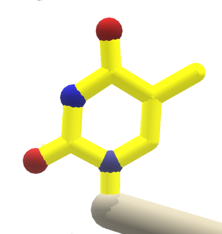 File:Thymine.png