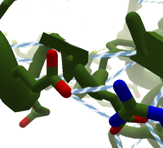 File:ShowBonds.png