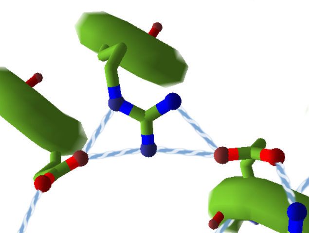 File:HydrogenBondsSidechain.cartroonthin.png