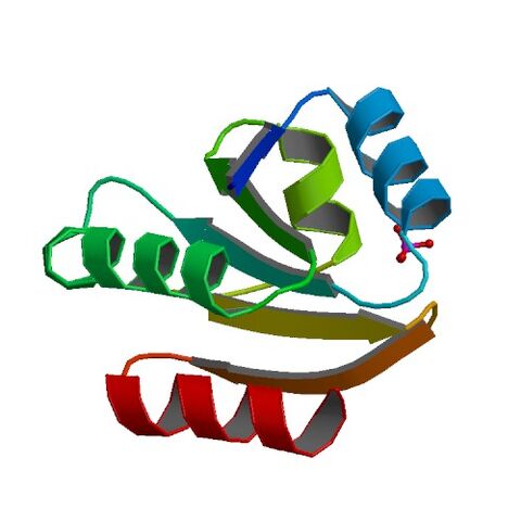 File:2HSH bio r 500.jpg