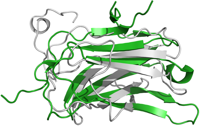 Datei:T0568m5b.png