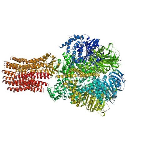 File:1QO1 bio r 500.jpg