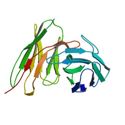 File:1A7O bio r 500.jpg
