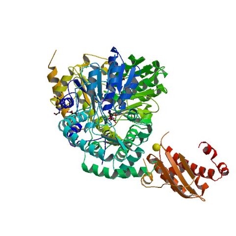 File:4EB7 bio r 500.jpg