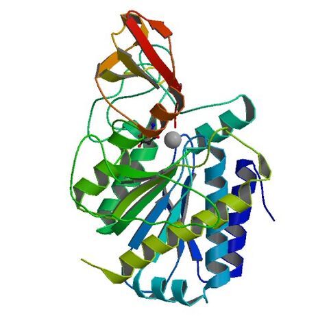 File:1DTD bio r 500.jpg