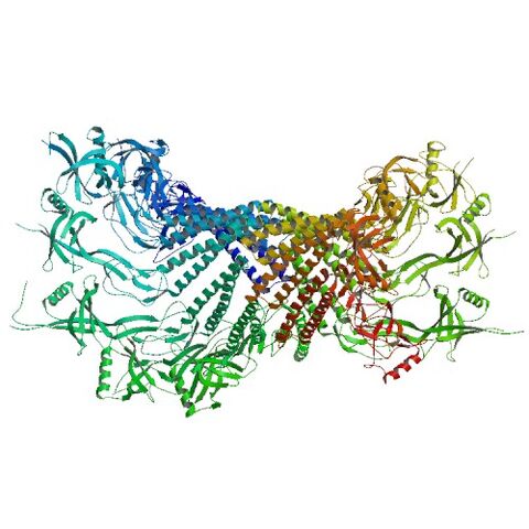 File:1VF7 bio r 500.jpg