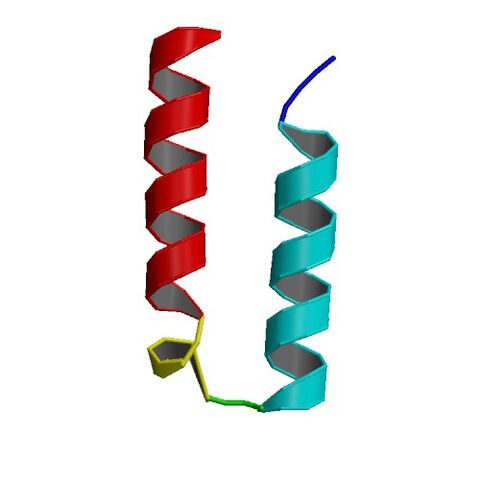 File:1EI0 asym r 500.jpg
