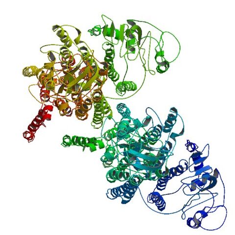 File:1MHS bio r 500.jpg