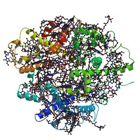 File:2BHW bio r 500.jpg