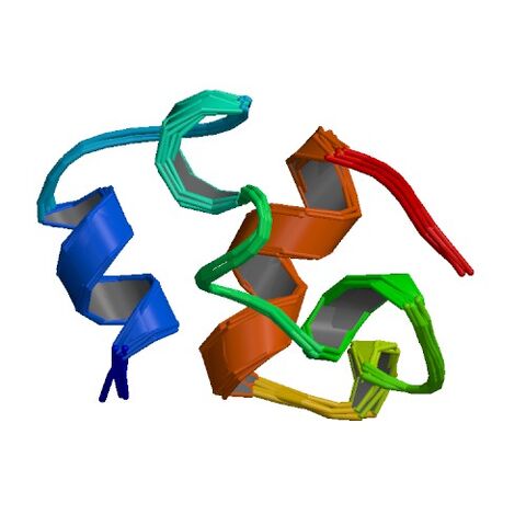 File:1ha8 bio r 500.jpg