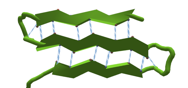 File:HydrogenBondsSheet.png
