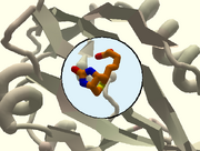 Ligand tunnel