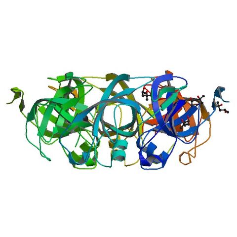 File:2Z9H bio r 500.jpg
