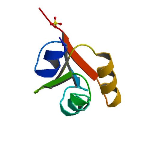 File:1KP6 bio r 500.jpg