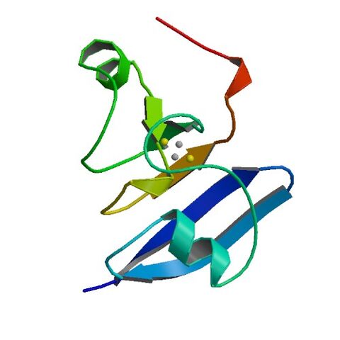 File:1A70 bio r 500.jpg