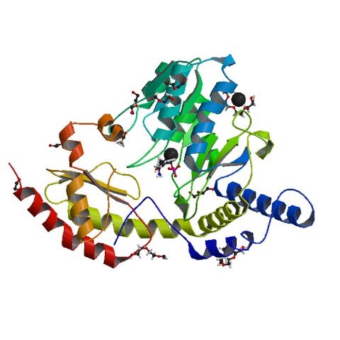 File:4R5F asym r 500.jpg