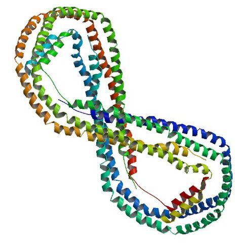 File:1AV1 bio r 500.jpg