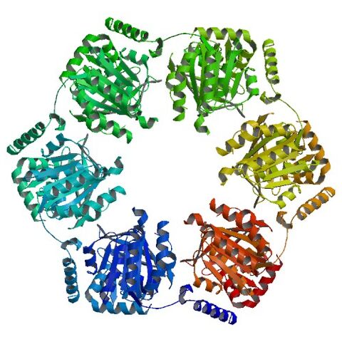 File:2REC bio r 500.jpg