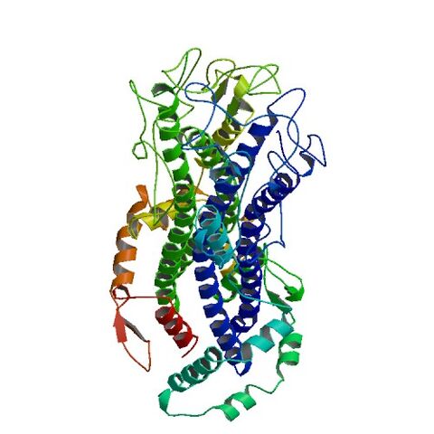 File:2VSG bio r 500.jpg
