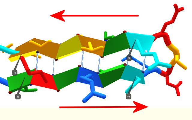 File:Antiparallel sheets.png