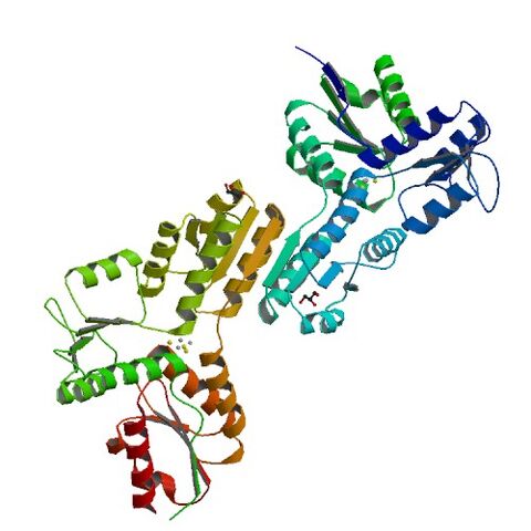 File:3DNF bio r 500.jpg