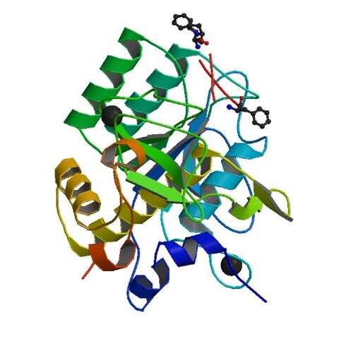 File:1TK2 bio r 500.jpg