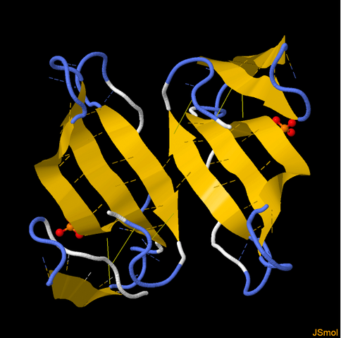 File:1CDT.png