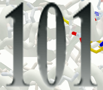 101