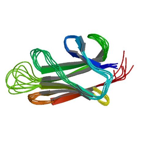 File:1DG4 asym r 500.jpg