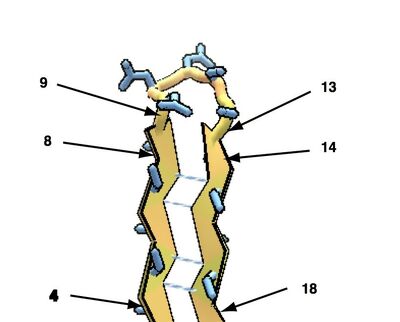 E-5L-E