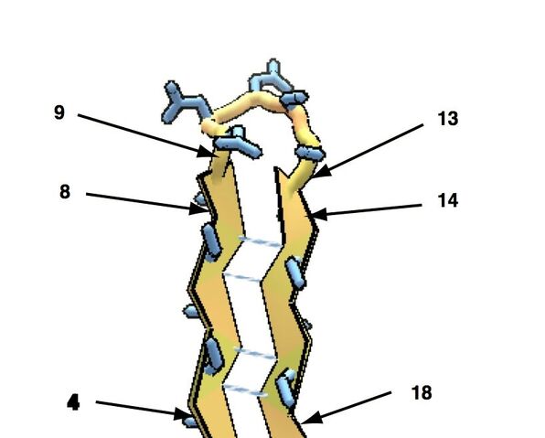 File:E-5L-E.jpg