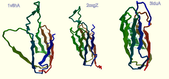 File:464 starts.jpg