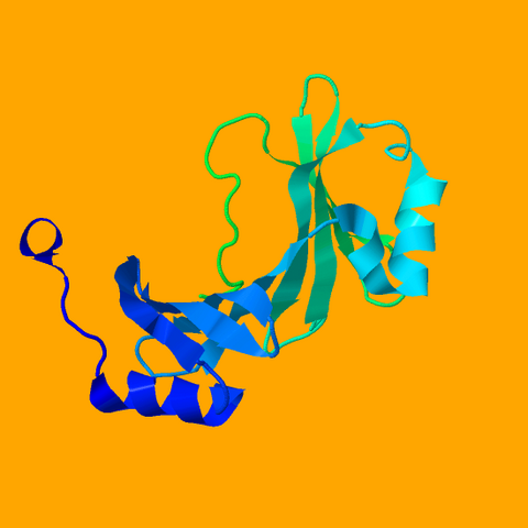 File:4FR9.pdb1.png
