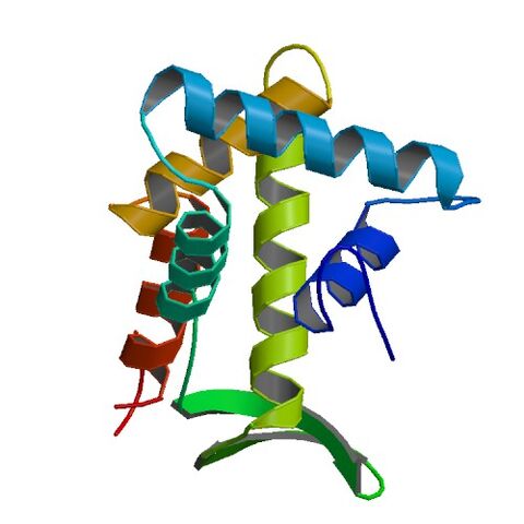 File:1RSS bio r 500.jpg