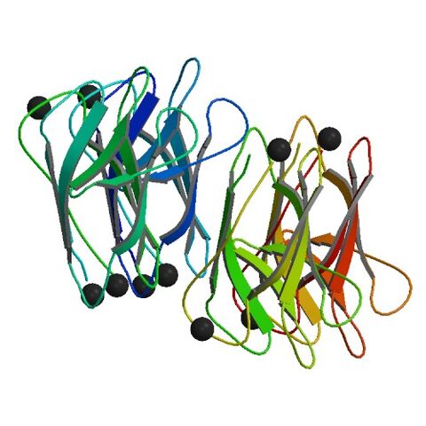 File:3FT1 asym r 500.jpg
