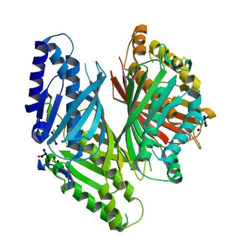 File:3E8P bio r 500.jpg