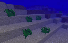 Food-Plus-Mod-Seaweeds
