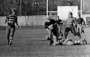 Argos v Rough Riders 1924
