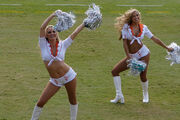 Miami Dolphins Cheerleaders