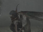 Fly Shibito Akira