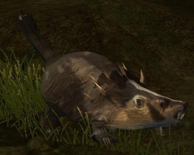d&d badger mini