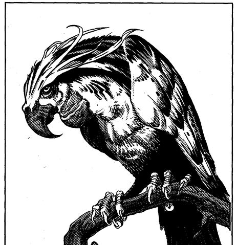 File:2e Elephant bird.jpg