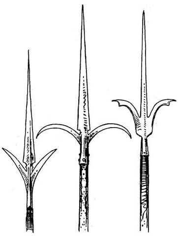File:Ranseur2.jpg