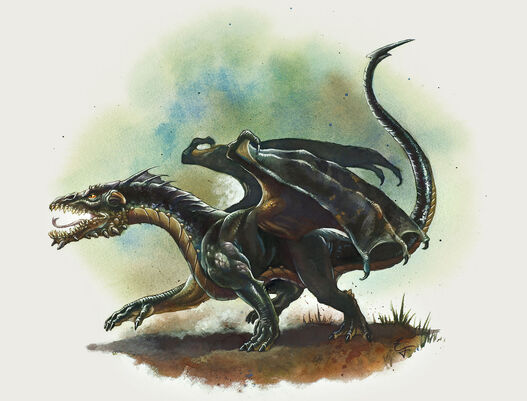 File:Black dragon Wyrmling.jpg
