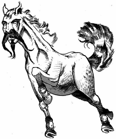 File:2e Buraq.jpg