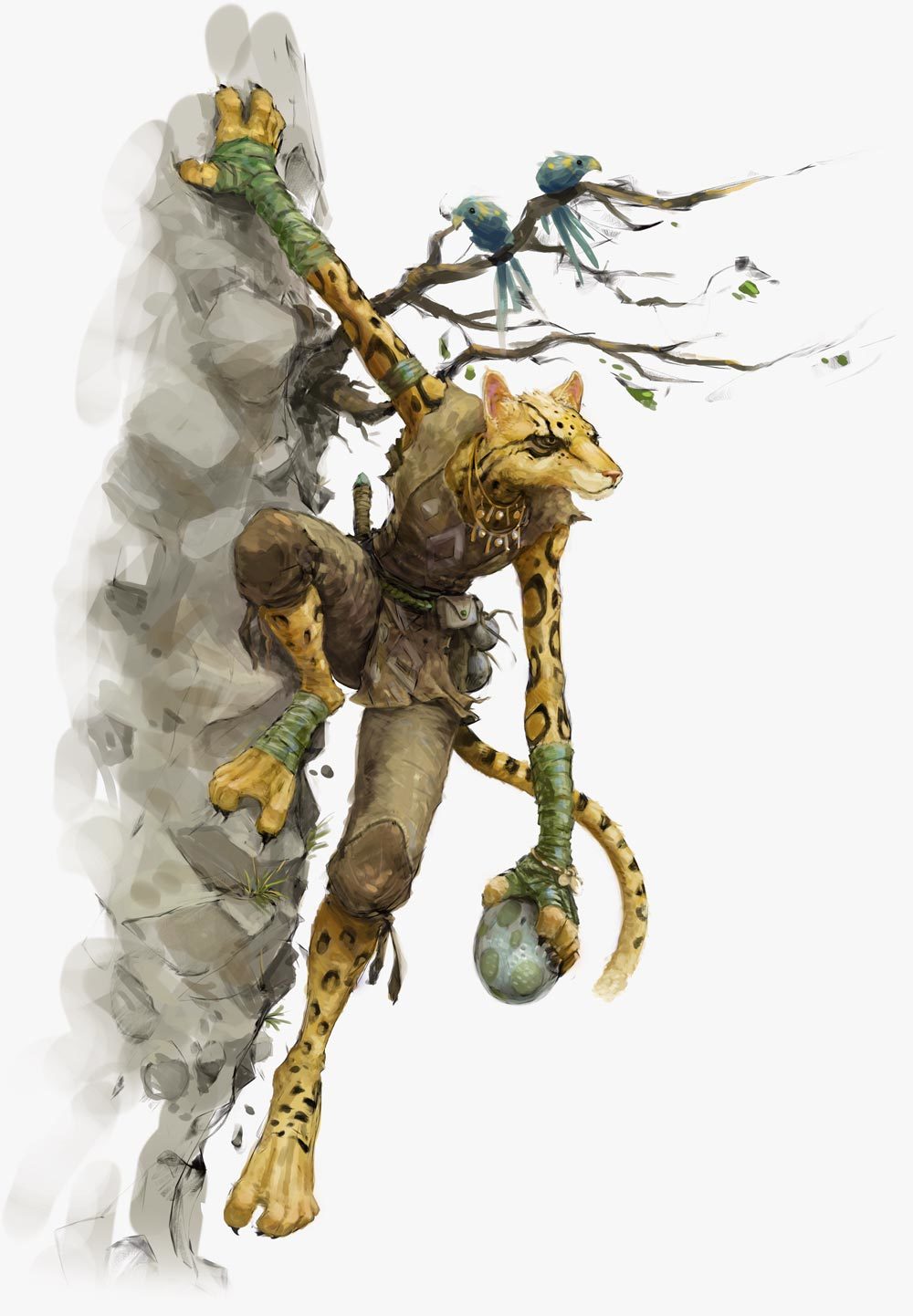 Image tabaxi 5e jpg forgotten realms wiki fandom powered by wikia
