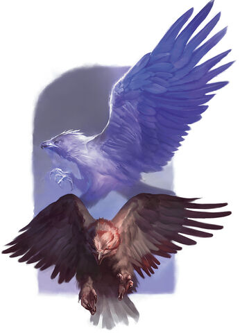 File:Hawks - Matias Tapia.jpg