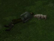 Lewy and pig
