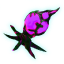 Purple GlowPod
