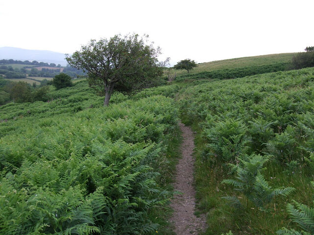 File:Path.jpg